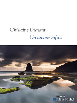 cover image of Un amour infini
